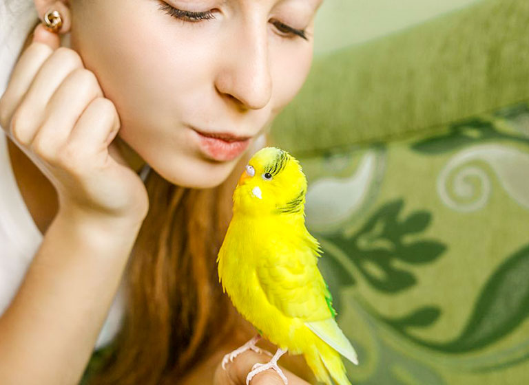 pet_14 pet_14