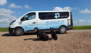 Chemnitz Hunde Gassimobil