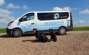Chemnitz Hunde Gassimobil