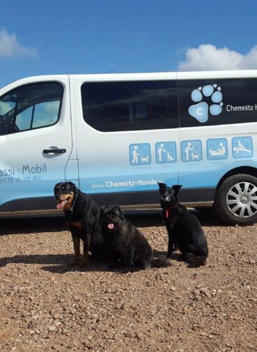 Chemnitz Hunde Gassimobil