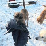 Der erste Winter …