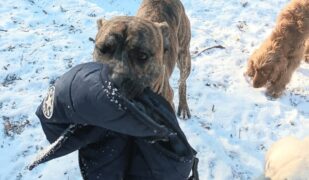 winter2